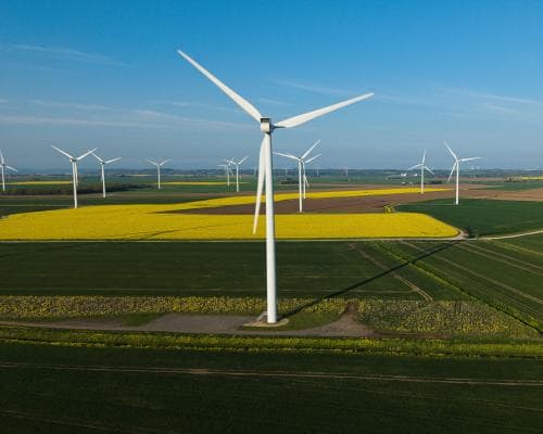‘Climate solutions will bring down bills and restore nature’: green issues and May elections